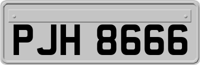 PJH8666