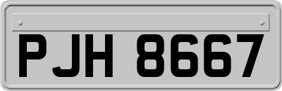 PJH8667
