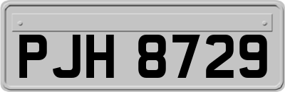 PJH8729