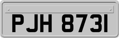PJH8731