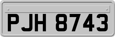 PJH8743