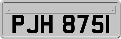 PJH8751