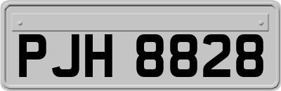 PJH8828