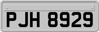 PJH8929