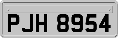 PJH8954