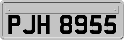 PJH8955