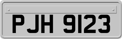 PJH9123