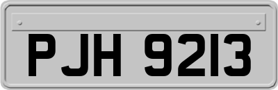 PJH9213