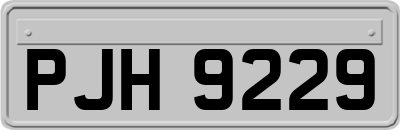 PJH9229
