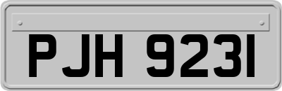 PJH9231