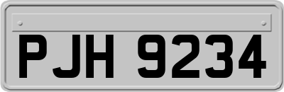 PJH9234