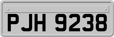 PJH9238