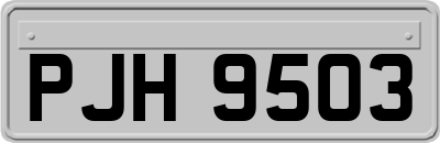 PJH9503