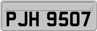 PJH9507