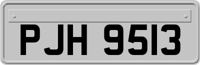 PJH9513