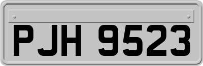 PJH9523