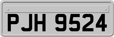 PJH9524