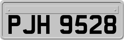 PJH9528