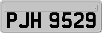 PJH9529