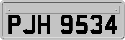 PJH9534