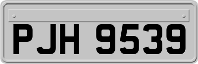 PJH9539