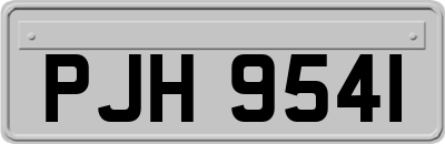 PJH9541