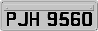 PJH9560