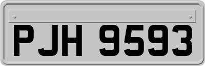 PJH9593