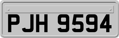 PJH9594