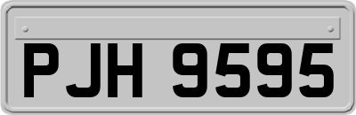 PJH9595