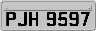 PJH9597
