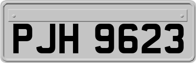 PJH9623