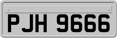 PJH9666