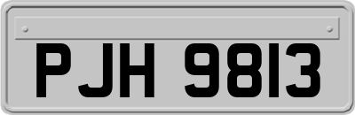 PJH9813