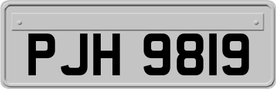 PJH9819