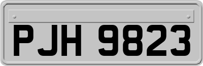 PJH9823