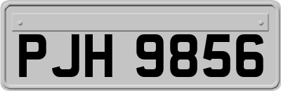 PJH9856