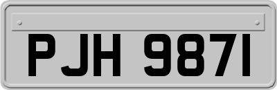 PJH9871