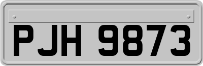 PJH9873