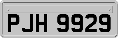 PJH9929
