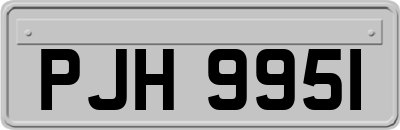 PJH9951
