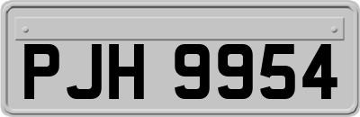 PJH9954