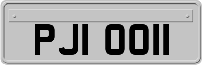 PJI0011
