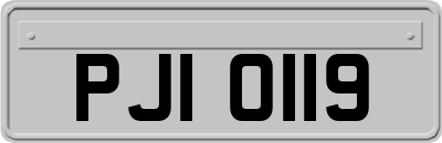 PJI0119