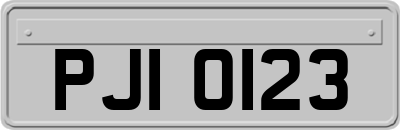 PJI0123
