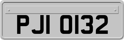 PJI0132