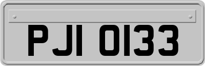 PJI0133
