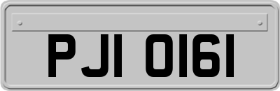 PJI0161