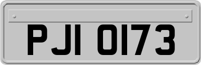 PJI0173