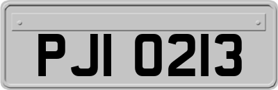 PJI0213